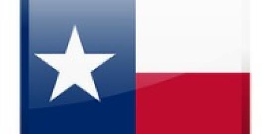 Texas Majority Owners Minority Partners 