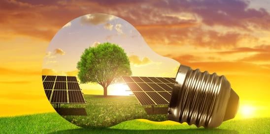 Trademark Law and Renewable Energy Companies 