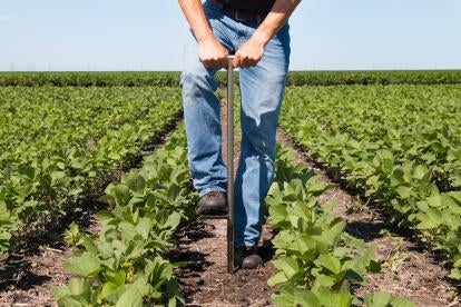 Plant Genetic Engineering Exemptions GMO