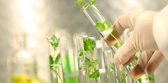 EPA Plant Genetic Modifications Comment Period