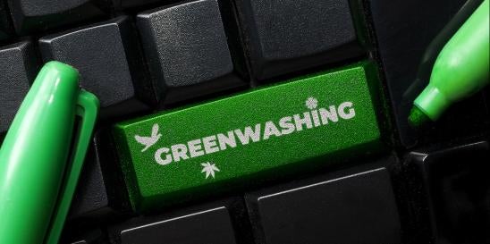 United Nations Reports on Net Zero Emissions and Greenwashing