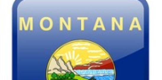 Earned Wage Access Products Montana