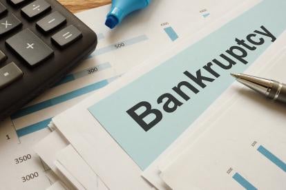 Chapter 7 and 11 Bankruptcy filings reviewed