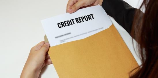 Trigger Leads Credit Reporting Agencies