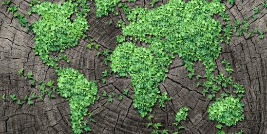 global greenery representing environmental cooperation