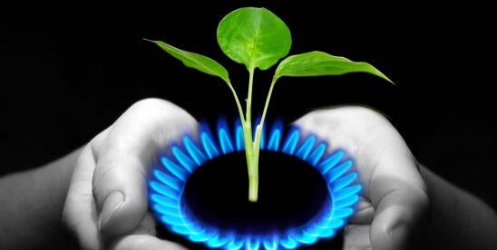 Advise for Facilities Utilizing Renewable Natural Gas RNG