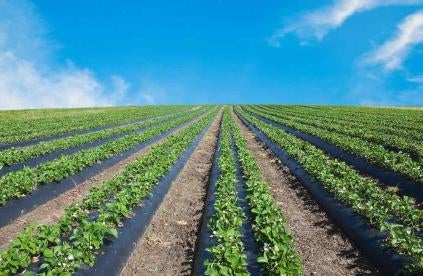 Agricultural Labor Shortages & Immigration