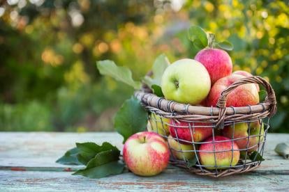 food, apples, FSMA, FDA