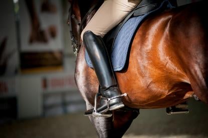 equine industry financing, competition and coaching