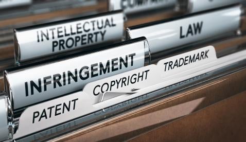 Intellectual Property Law Infringement