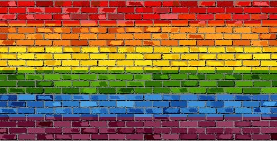 rainbow brick wall LGBTQ students protected US Dept of Education Title IX