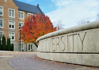 University Title IX Sexual Assault Claims