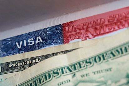 Non-Immigrant Work and Travel Visa Fees