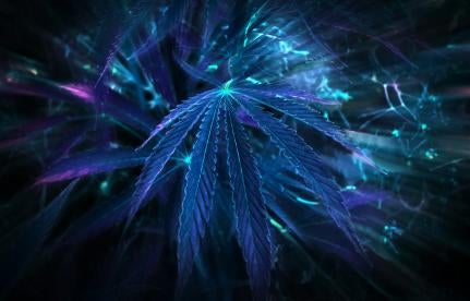 marijuana-based drug added to banned substance list