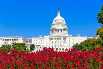 captiol building and flowers 