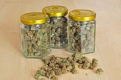 marijuana buds in jars