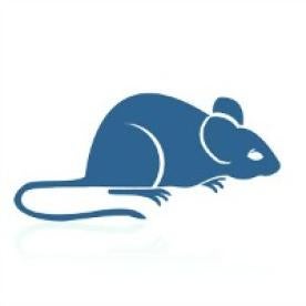 Rat, Rodenticide, FIFRA, SAP