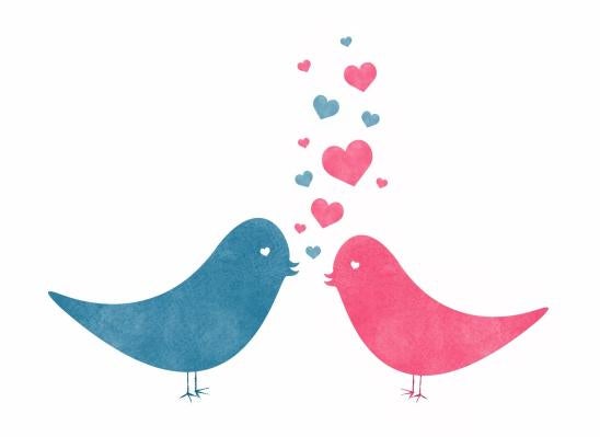 workplace romance between birds is also an HR issue for lovebirds