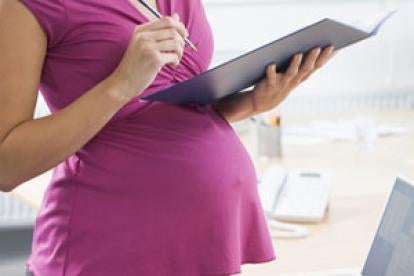 pregnant, folder, women, business
