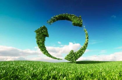 sustainability symbol made of green organic material 