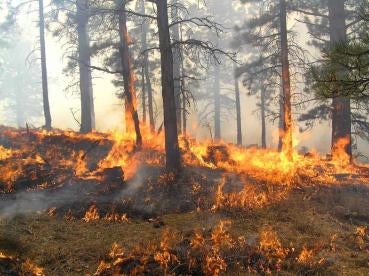 wildfire in Colorado or California that resulted in insurance claims