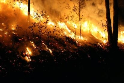 California outlines AFFF in Firefighting Foam