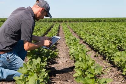 farmer, field, technology