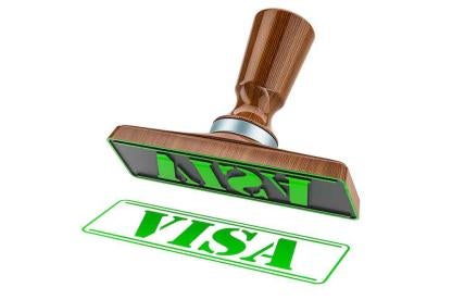 Health Care Visa Stamp in Green