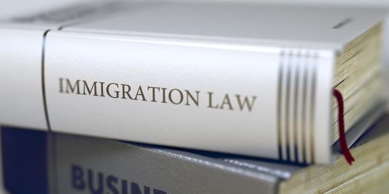 immigration law book, advance parole