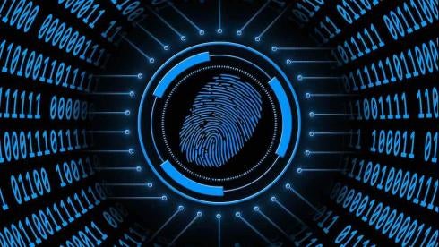 Thumbprint biometrics