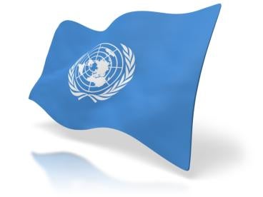 United Nations Flag, General Election