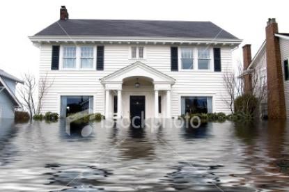flood, insurance