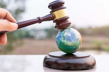 Greenwashing Litigation Suits and Third Party ESG Certifications