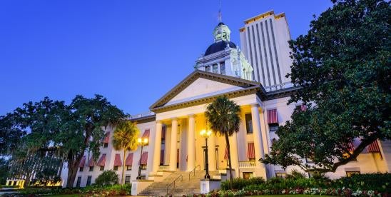 Florida Legislature Passes Consumer Privacy Law 