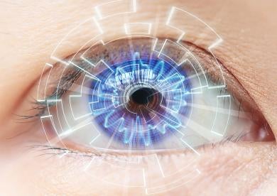 biometric ID scan of the human retina