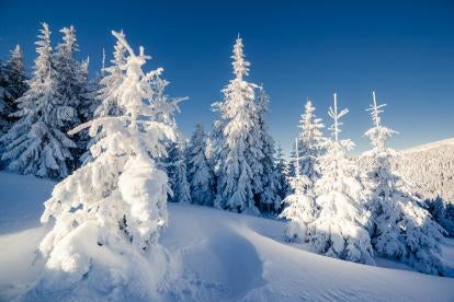 Winter weather, snow, sleet, hail, FL, GA, New England