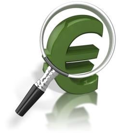 Euro Under a Magnifying Glass