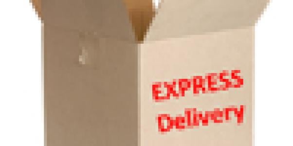 Express Delivery Box