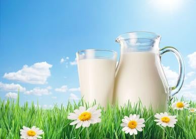 milk pitcher, dairy farm, financing