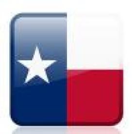 Texas State Flag Button