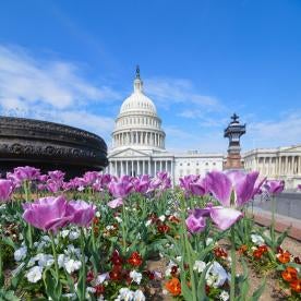 Capitol, President’s Budget; FAA Reauthorization; Drone Registration Rule; GHG Rule; MPO Consolidation Rule