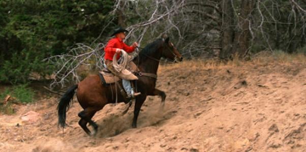 Cowboy on horseback, rodeo antitrust