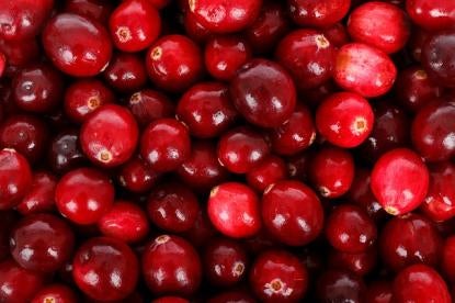 Cranberries, Traditional Treatment for UTIs in Doubt