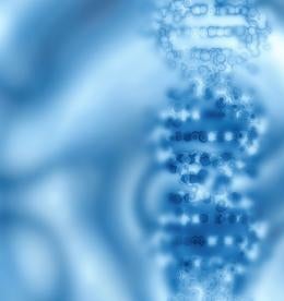 DNA, genome, CHMP, ICH