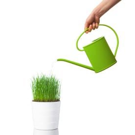 Watering can, grass, California Drought