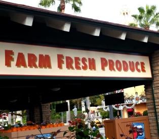 Produce Stand, FDA Issues Guidance for Industry on Model Accreditation Standards for Third-Party Certification Bodies