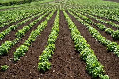 Agriculture Provisions in the CARES Act how will udsa address 