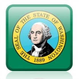 Washington state flag button