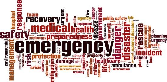 Section 207 Emergency Bylaws