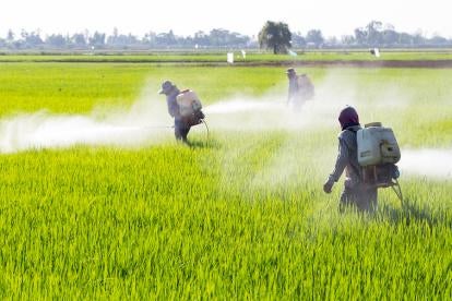 Men in Field with Pesticides